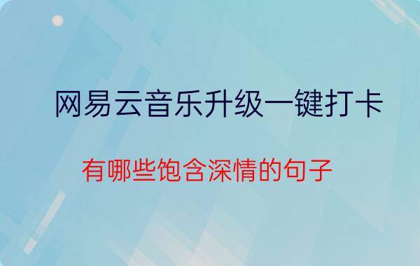 网易云音乐升级一键打卡 有哪些饱含深情的句子？